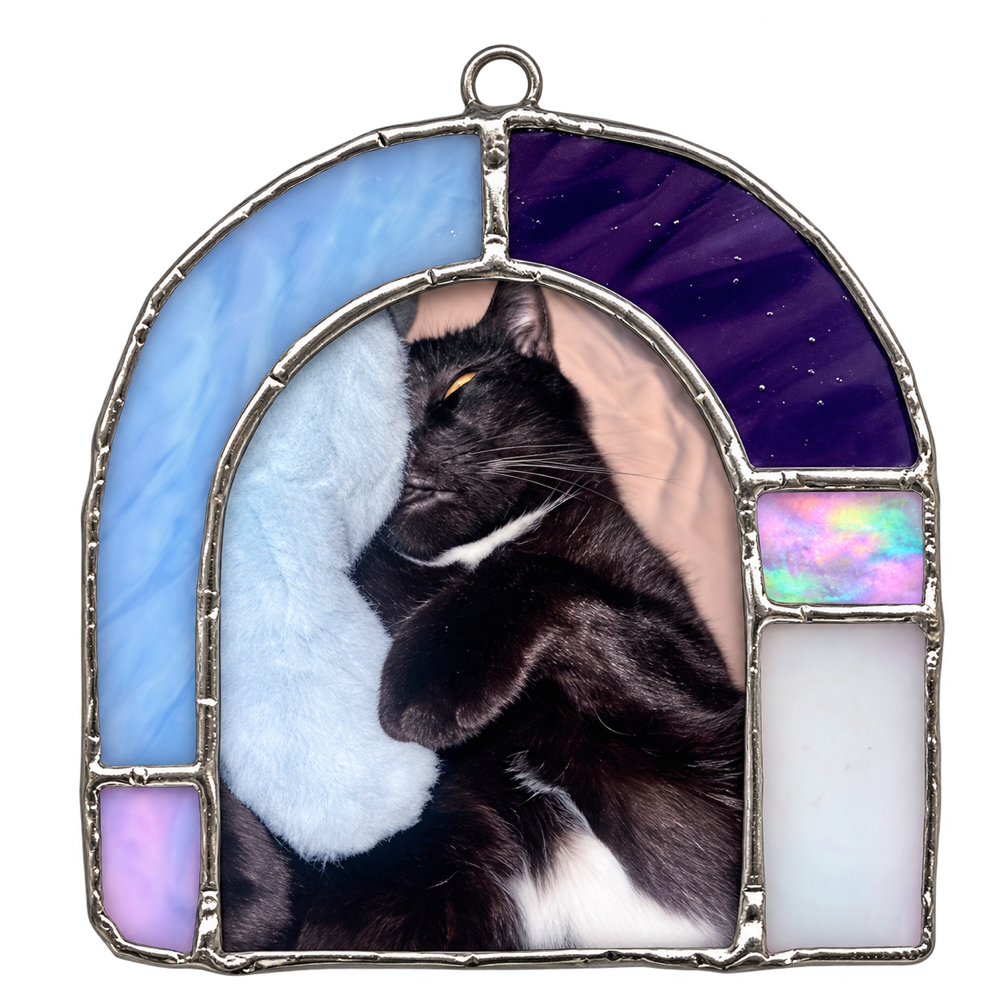 猫咪陪伴